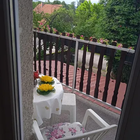 Apartman Centrala 2